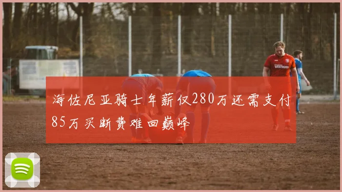 海佐尼亚骑士年薪仅280万还需支付85万买断费难回巅峰